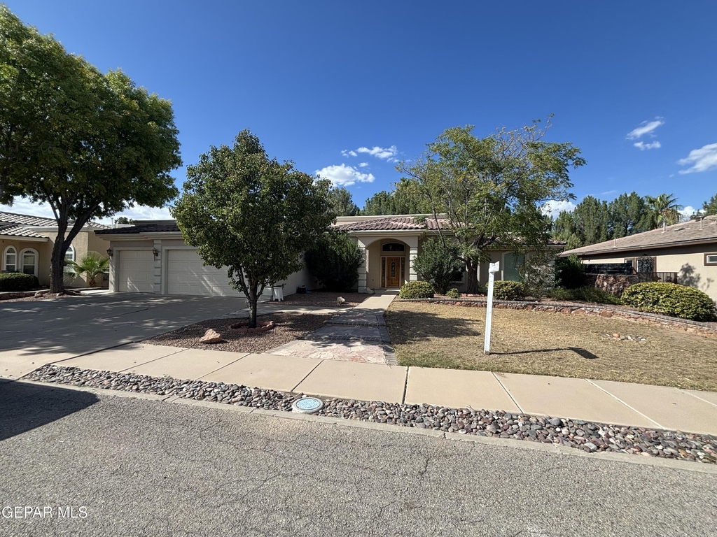 717 Cinnamon Teal Circle - Photo 0