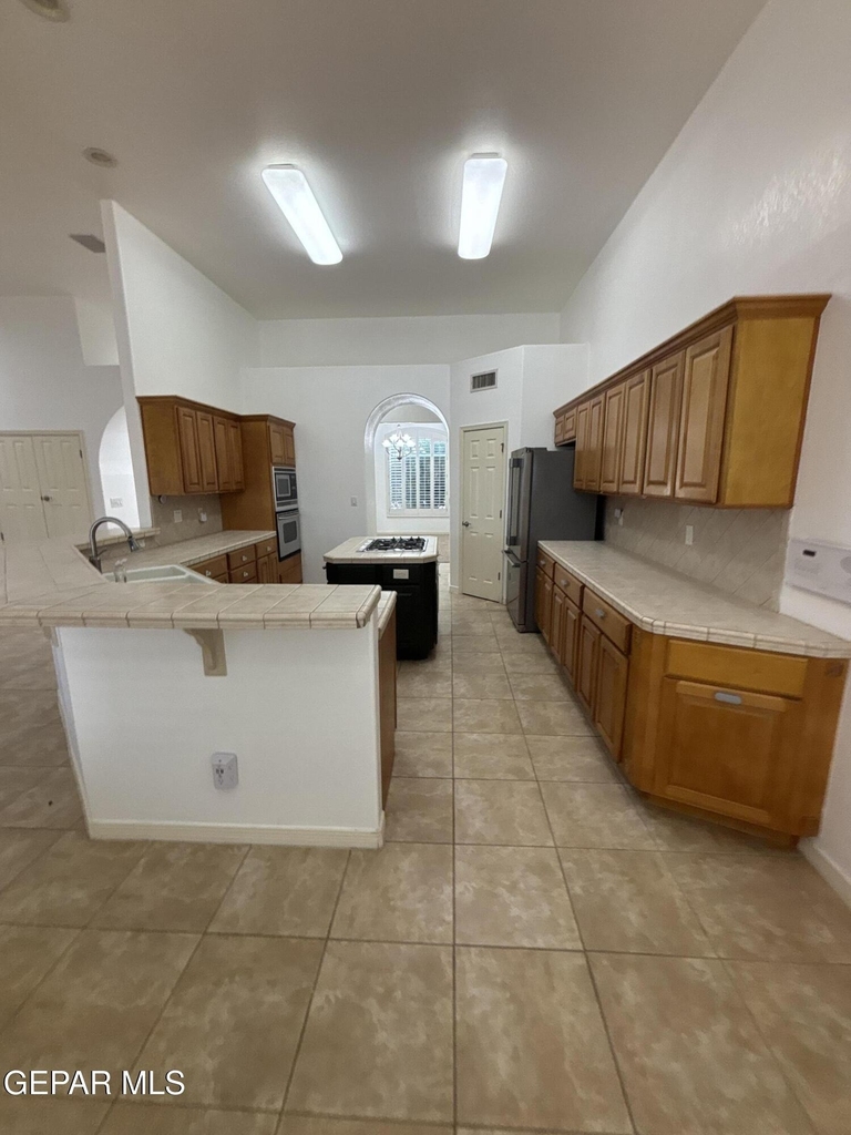 717 Cinnamon Teal Circle - Photo 6