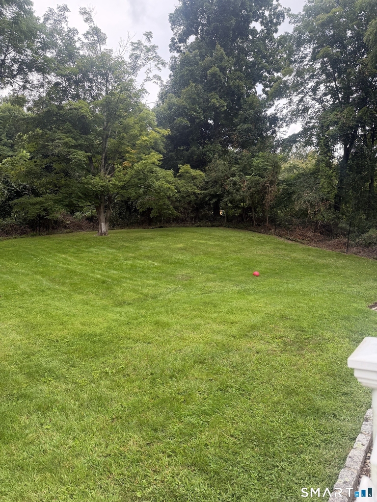 32 Chestnut Hill Road - Photo 18