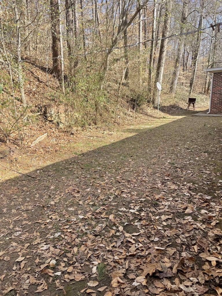 225 Pressley Way - Photo 7