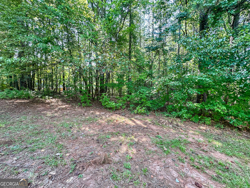 335 Paradise Drive - Photo 16