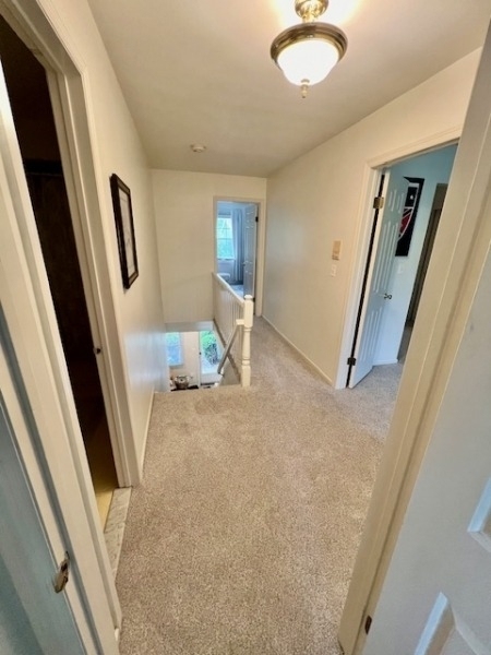 21 Pilgrim Ct - Photo 15