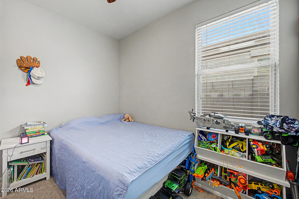 42097 W Lunar Street - Photo 14