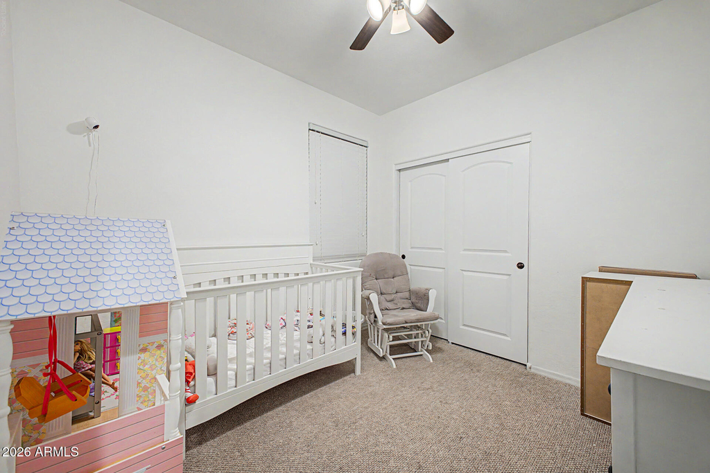 42097 W Lunar Street - Photo 12