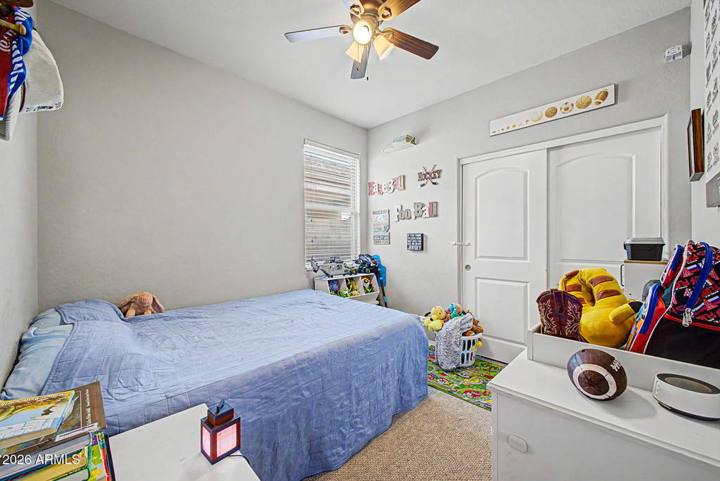42097 W Lunar Street - Photo 13