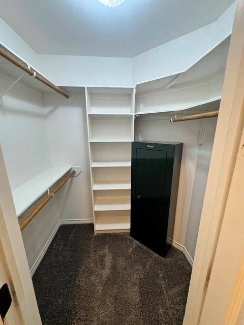 1509 Saddle Lakes Drive - Photo 12