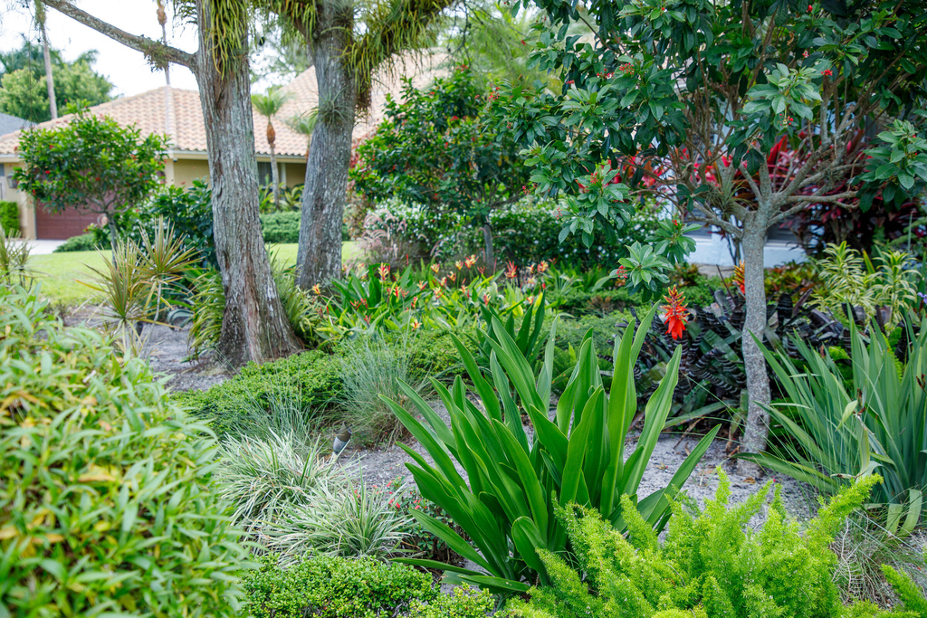 900 Cosmos Court - Photo 2