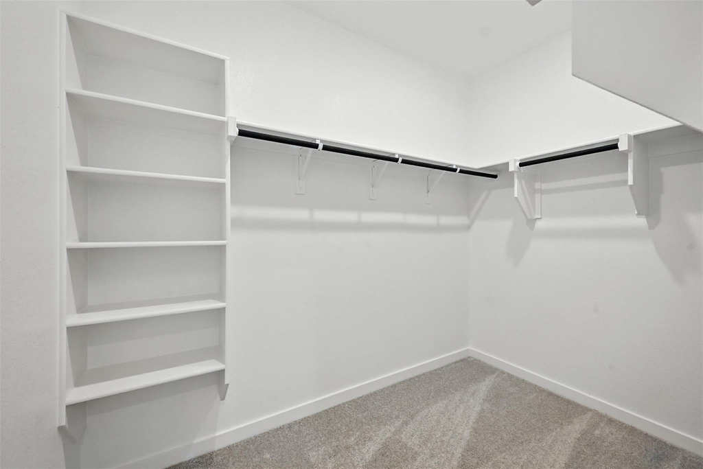 1813 Bog Spruce - Photo 17