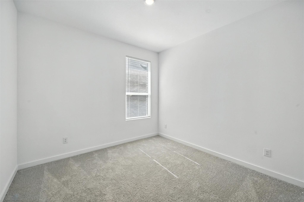 1813 Bog Spruce - Photo 12