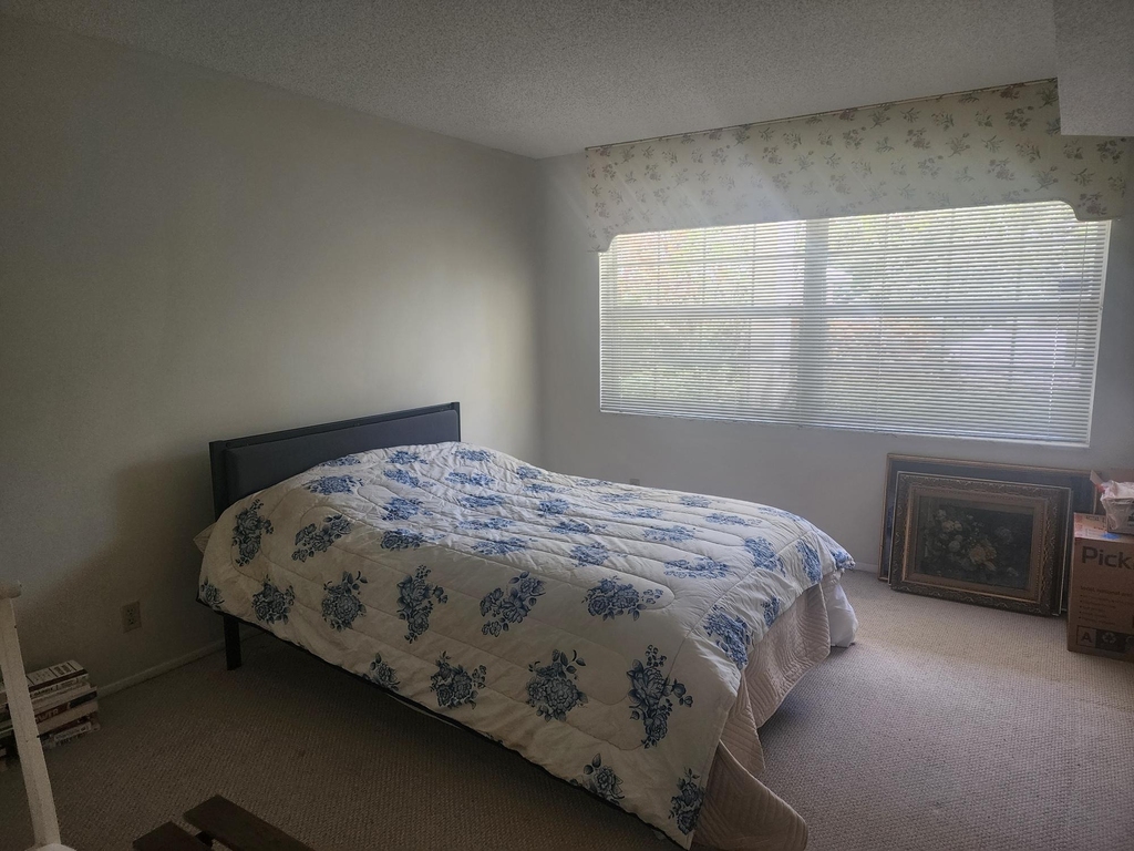 805 Cypress Boulevard - Photo 10