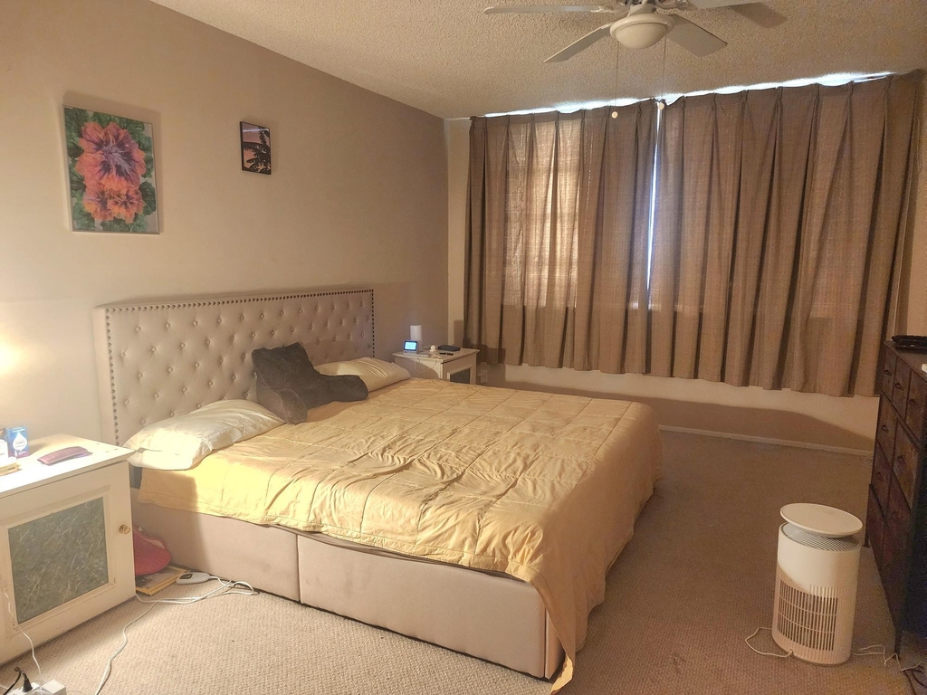 805 Cypress Boulevard - Photo 5