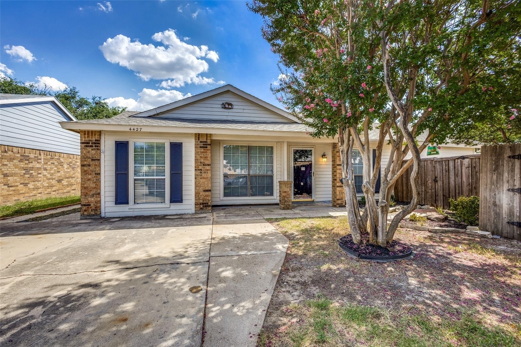 4427 Jenkins Street - Photo 0