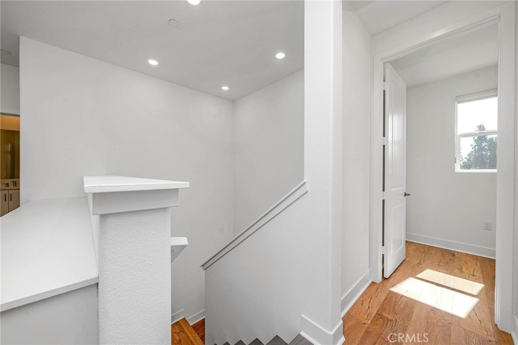 1002 Citron - Photo 7