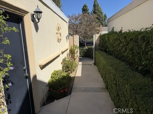 6 Willow Tree Lane - Photo 50