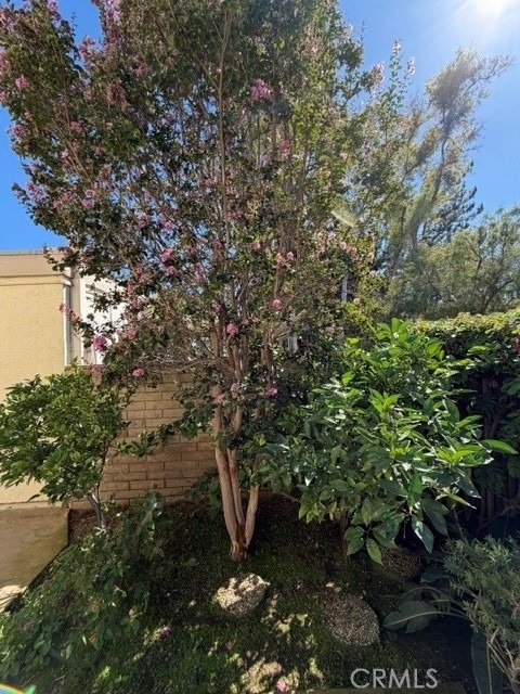 6 Willow Tree Lane - Photo 47