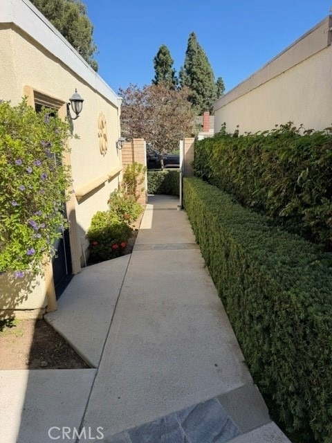 6 Willow Tree Lane - Photo 41