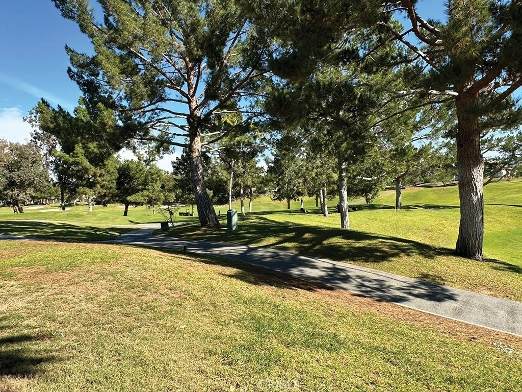 236 Downey Lane - Photo 29