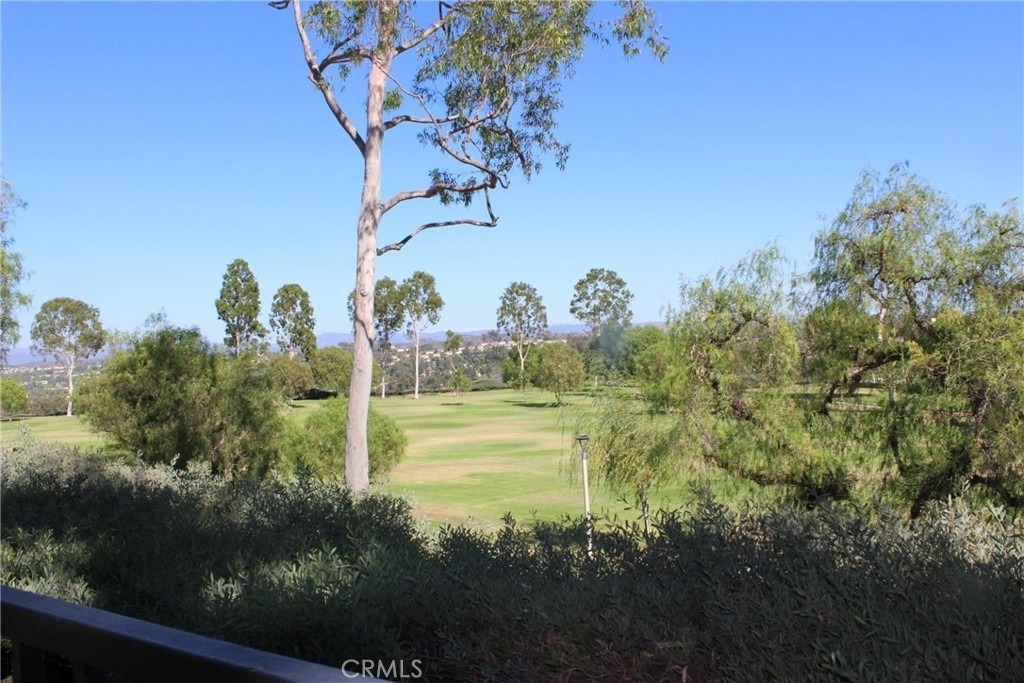 26452 La Scala - Photo 5