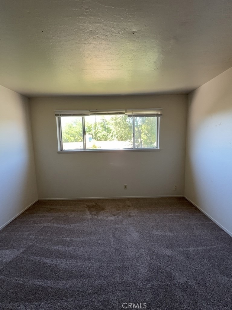 3001 Lakeshore Boulevard - Photo 5