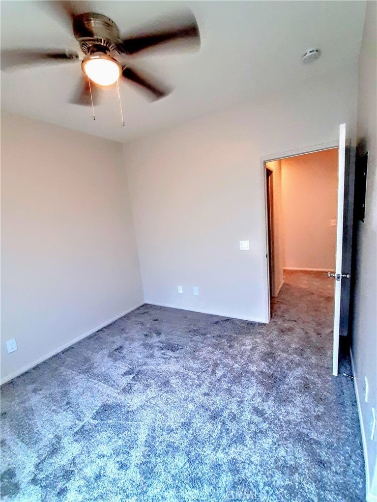 6954 Castor - Photo 19