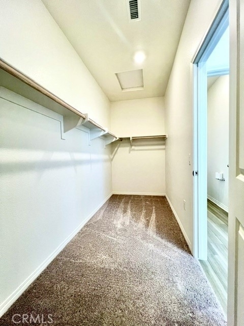 9698 Babaco Street - Photo 11