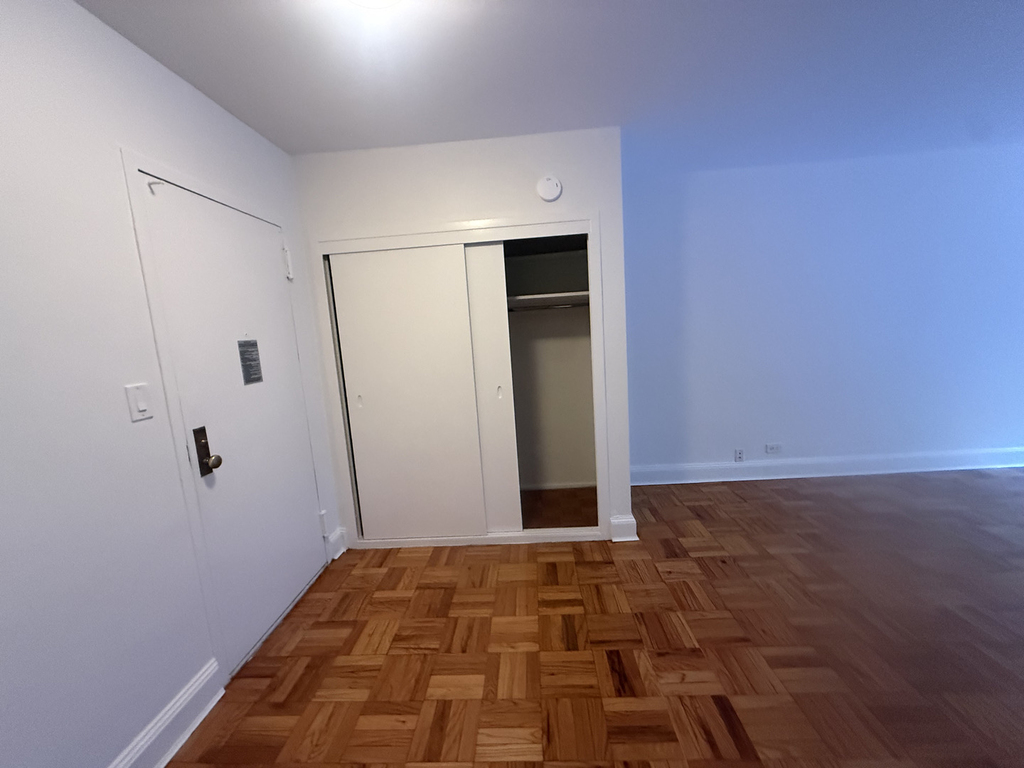 412 East 55th Street - Photo 3