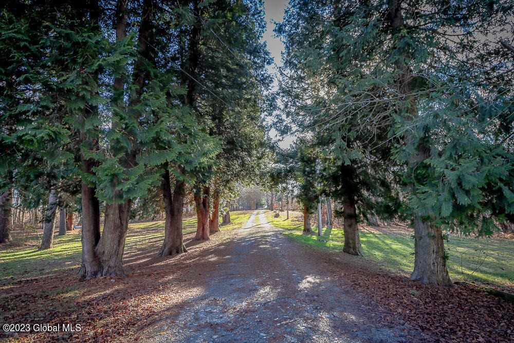 65 Orinsekwa Road - Photo 13
