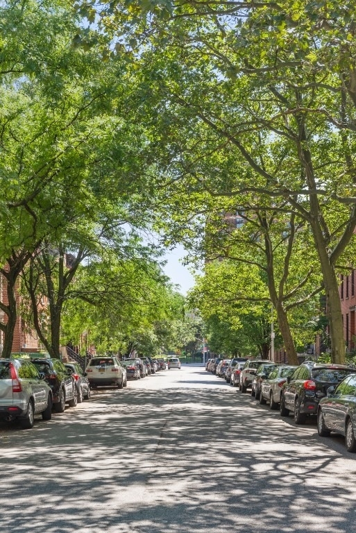392 Adelphi Street - Photo 10
