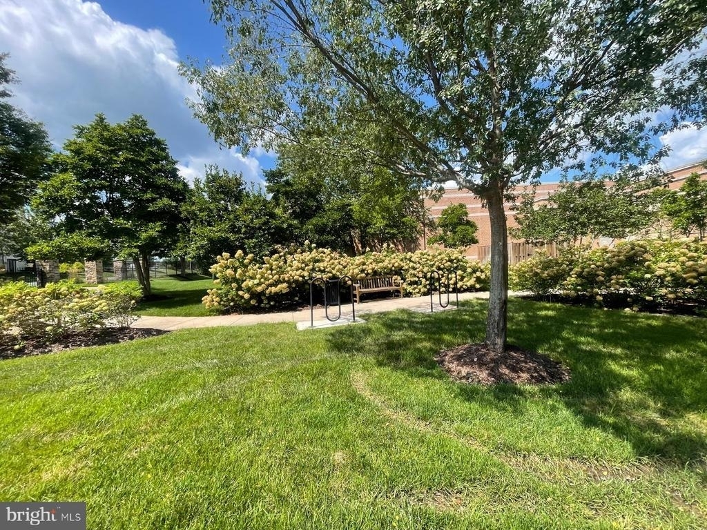 42243 Water Iris Terrace - Photo 43