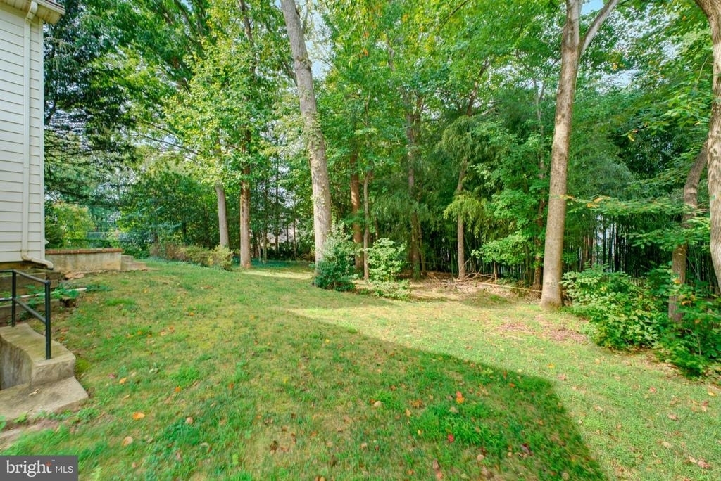 8125 Saxony Drive - Photo 49