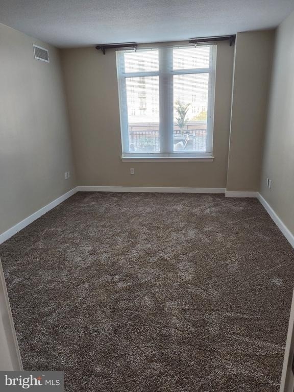155 Potomac Passage - Photo 21