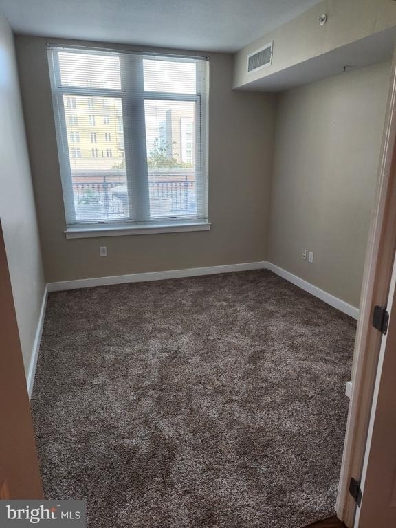 155 Potomac Passage - Photo 35