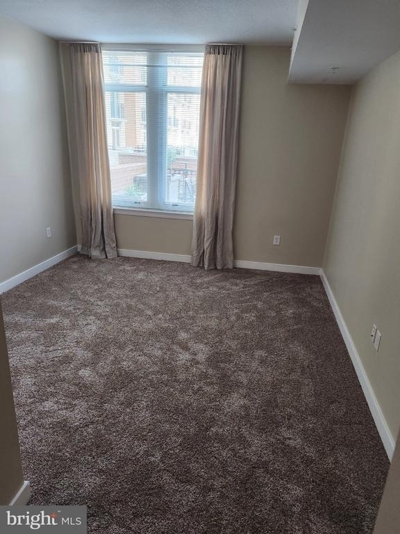 155 Potomac Passage - Photo 28