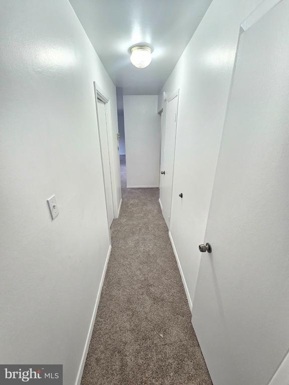 12303 Braxfield Court - Photo 16