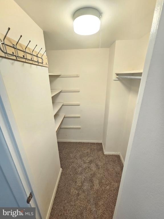 12303 Braxfield Court - Photo 18