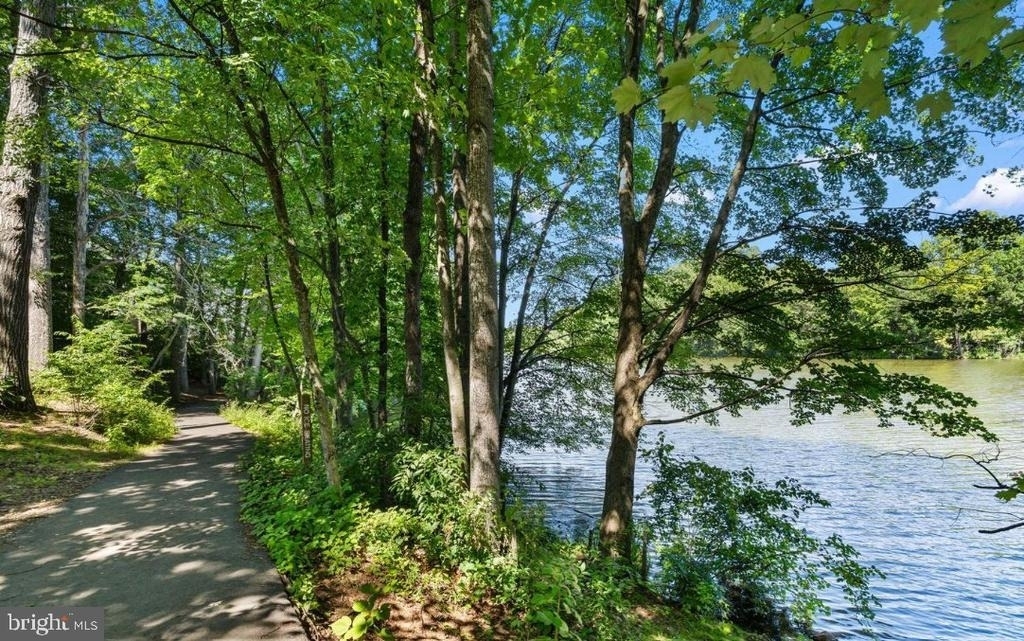 13247 Meander Cove Drive - Photo 37