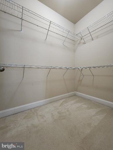 22623 Sweetspire Drive - Photo 11