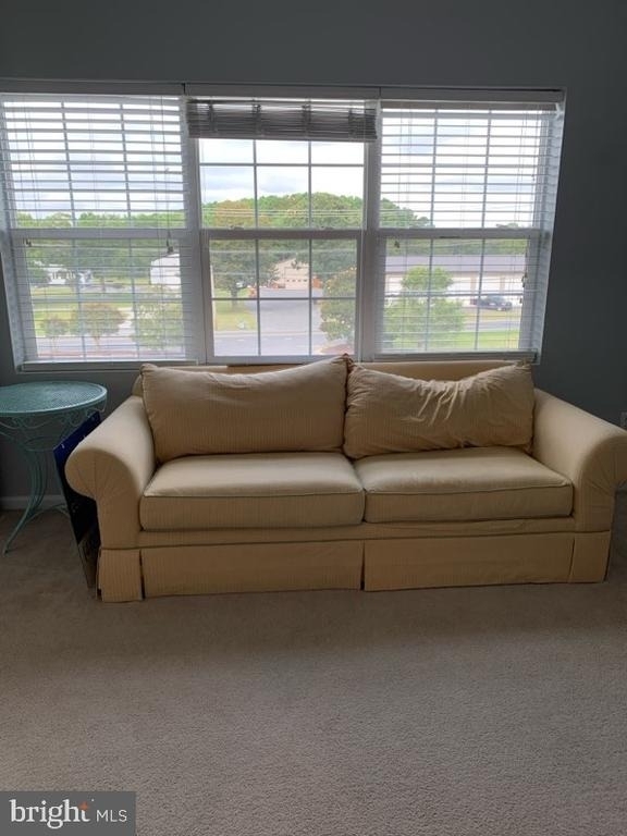 30413 Cedar Neck Road - Photo 11