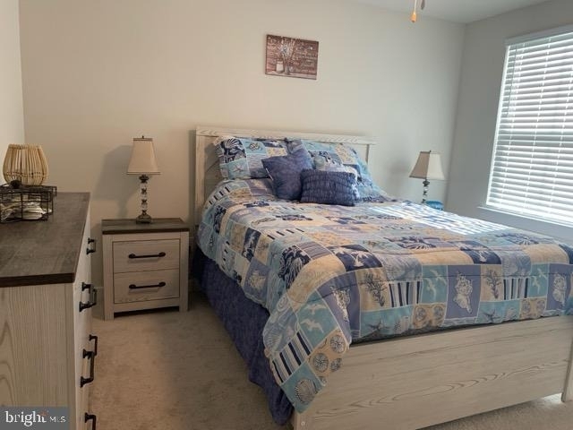 32336 Peregrine Way - Photo 24