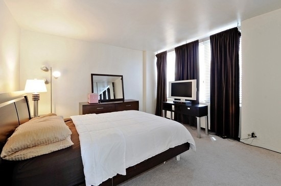 535 N Michigan Avenue - Photo 6