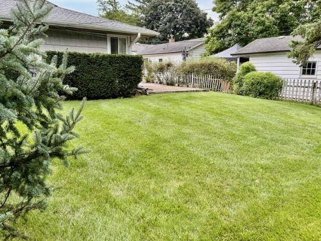 531 Pinecrest Lane - Photo 13