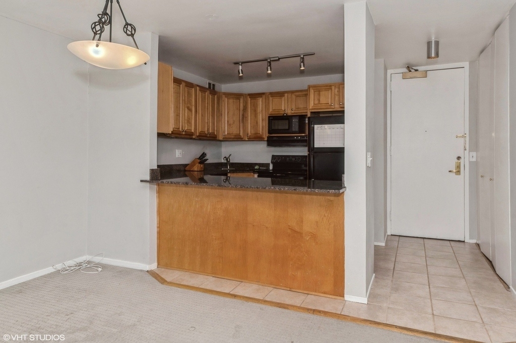 2650 N Lakeview Avenue - Photo 3