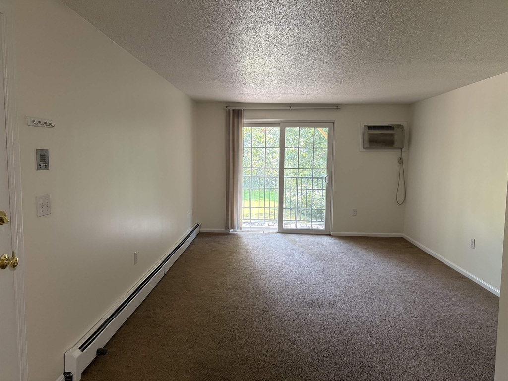 2108 White Cedar - Photo 1