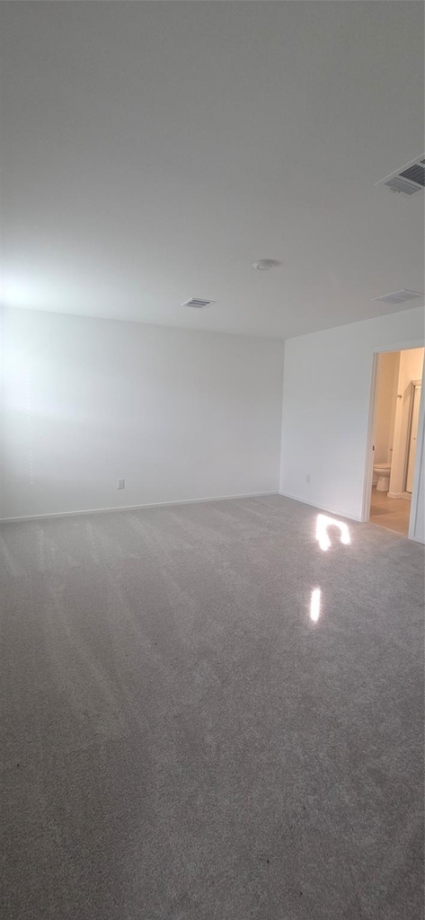 331 Ice Shore Trail - Photo 13