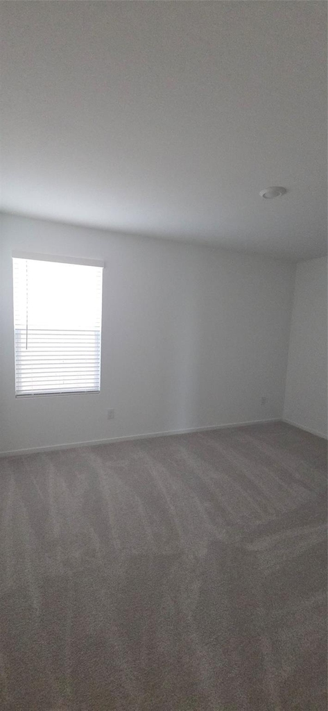 331 Ice Shore Trail - Photo 17