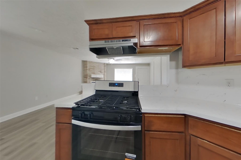 24019 Lone Elm Drive - Photo 4