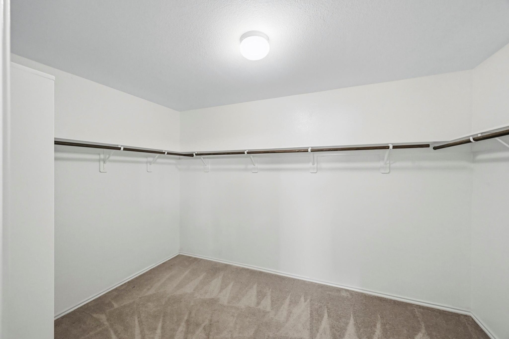14603 Auburn Dusk Drive - Photo 27