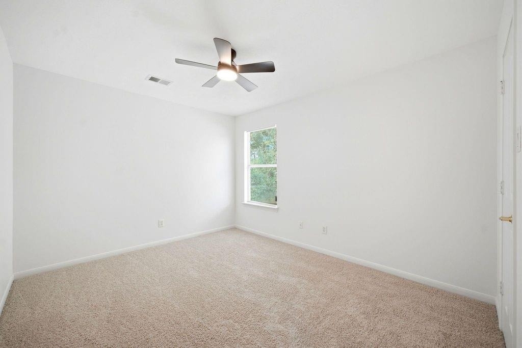 22907 Squirrel Tree Street - Photo 30