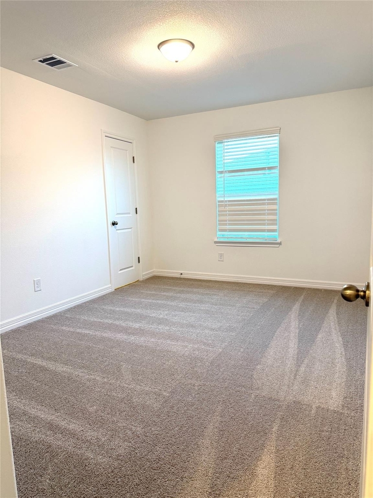 32011 Sweet Pea Meadows Drive - Photo 24