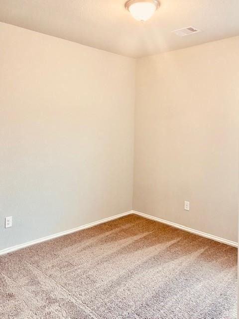31422 Horseshoe Meadow Bend - Photo 12